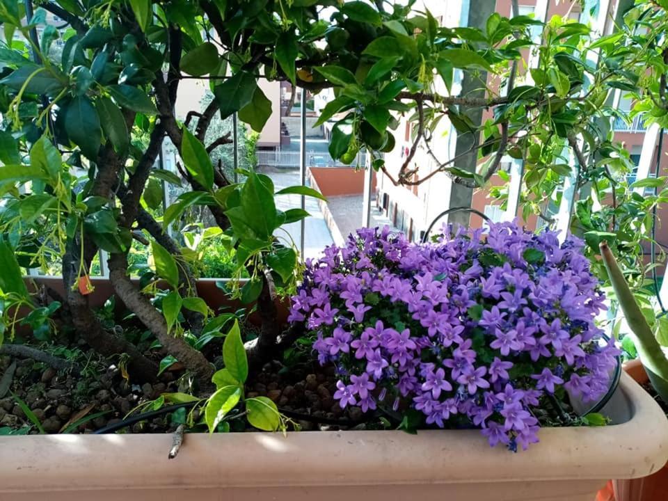 Appartamento Con Terrazzo A Gorgonzola Εξωτερικό φωτογραφία